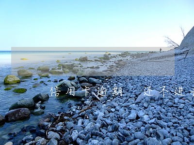 信用卡逾期 还不进去 信用卡逾期 还不进去